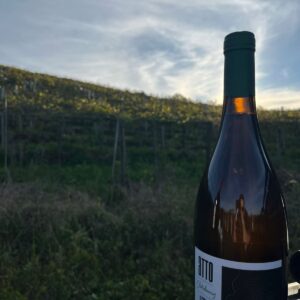 ATTO Chardonnay